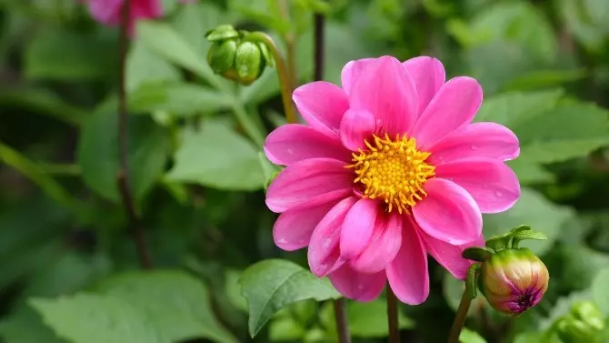 Image 002